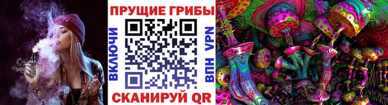 Псилоцибиновые грибы GOLDEN TEACHER  Новый Оскол 