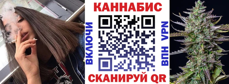 где купить наркоту  KRAKEN ONION  Конопля семена  Новый Оскол 